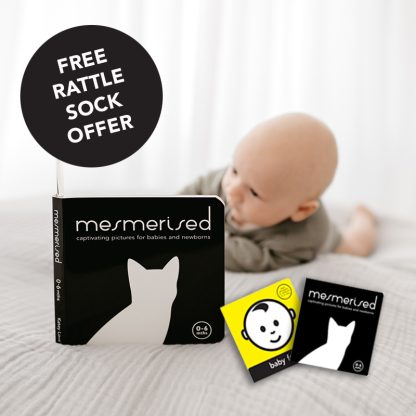 HIGH CONTRAST BABY BOOKS WITH FREE GIFT